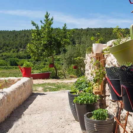 Easy Skradin